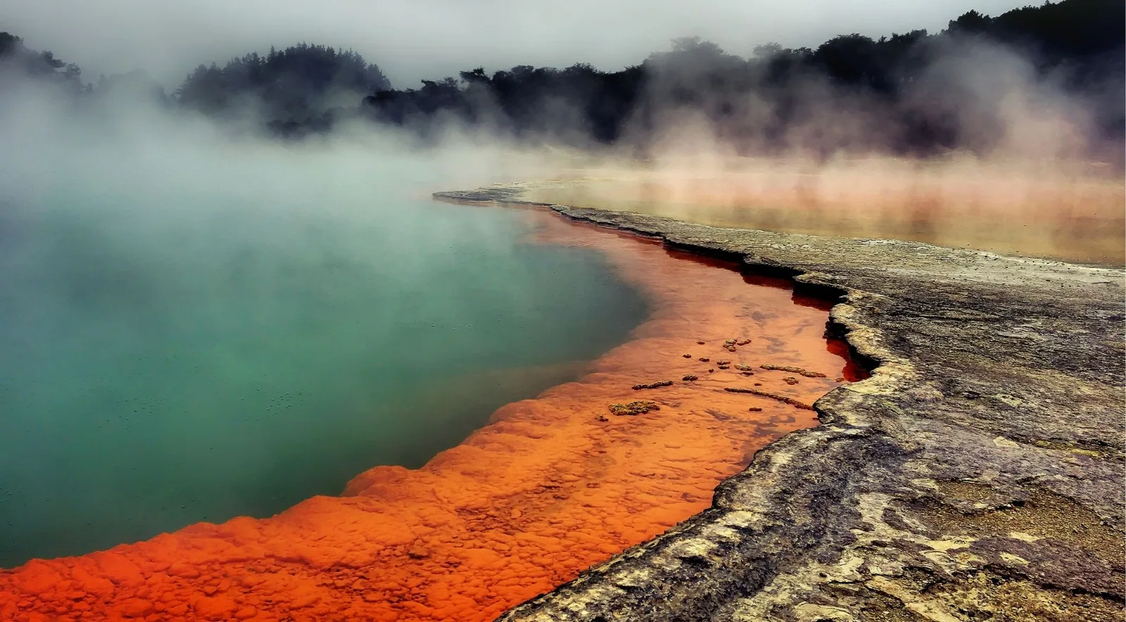 Steam drifting across the burnt-orange rim of the Champagne Pool at Wai-O-Tapu