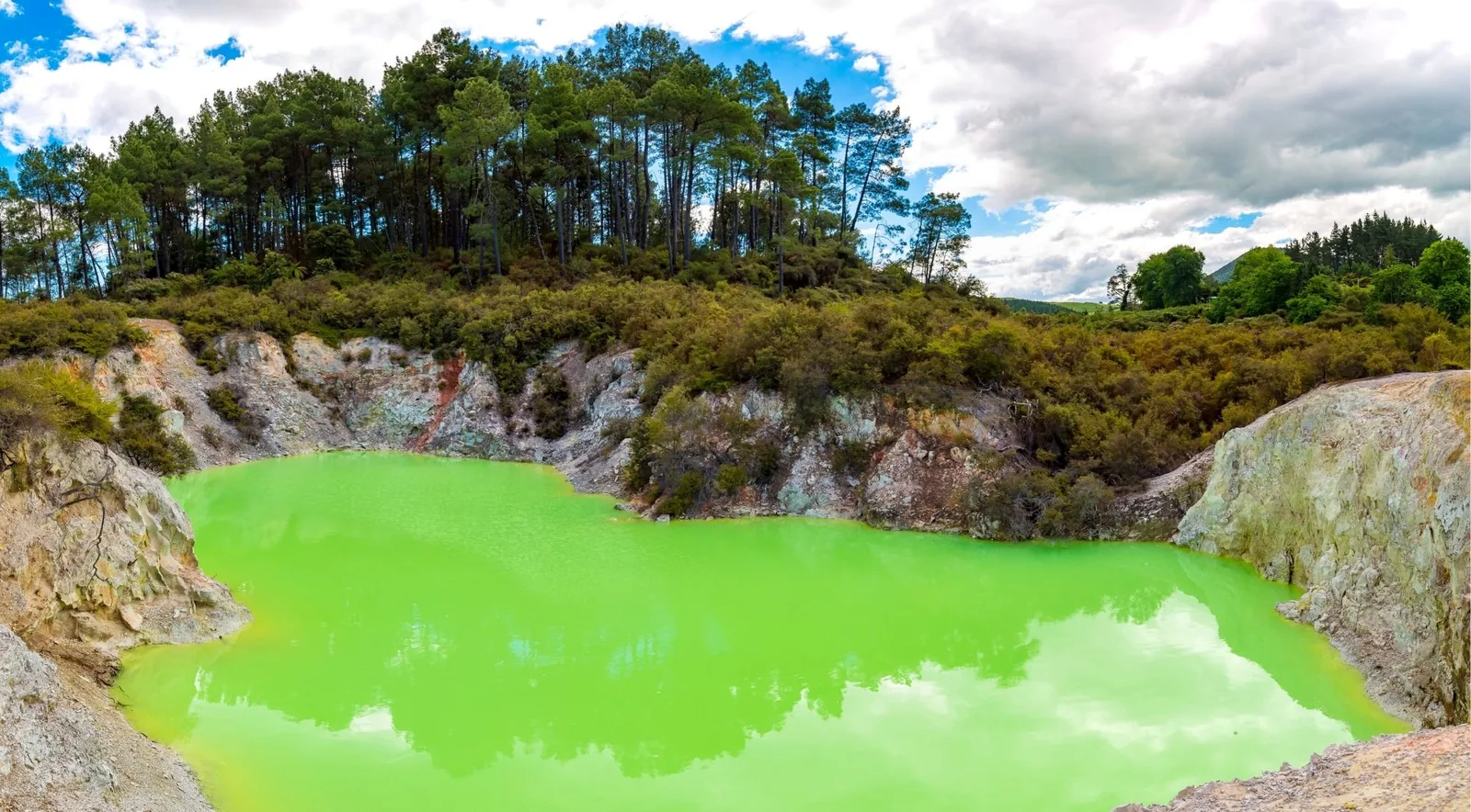 The acid-green water of the Devil's Bath crater at Wai-O-Tapu