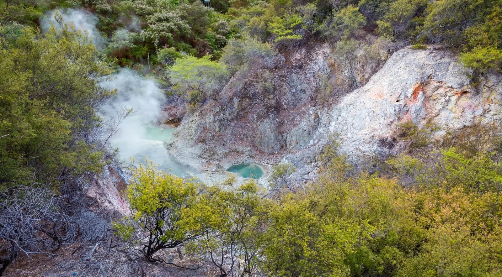A steaming collapsed crater holding a pale green pool, ringed by scrub