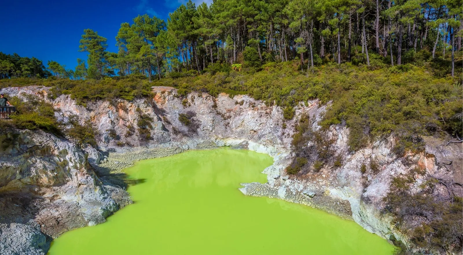 Aerial view of the green Devil's Bath crater surrounded by pine forest
