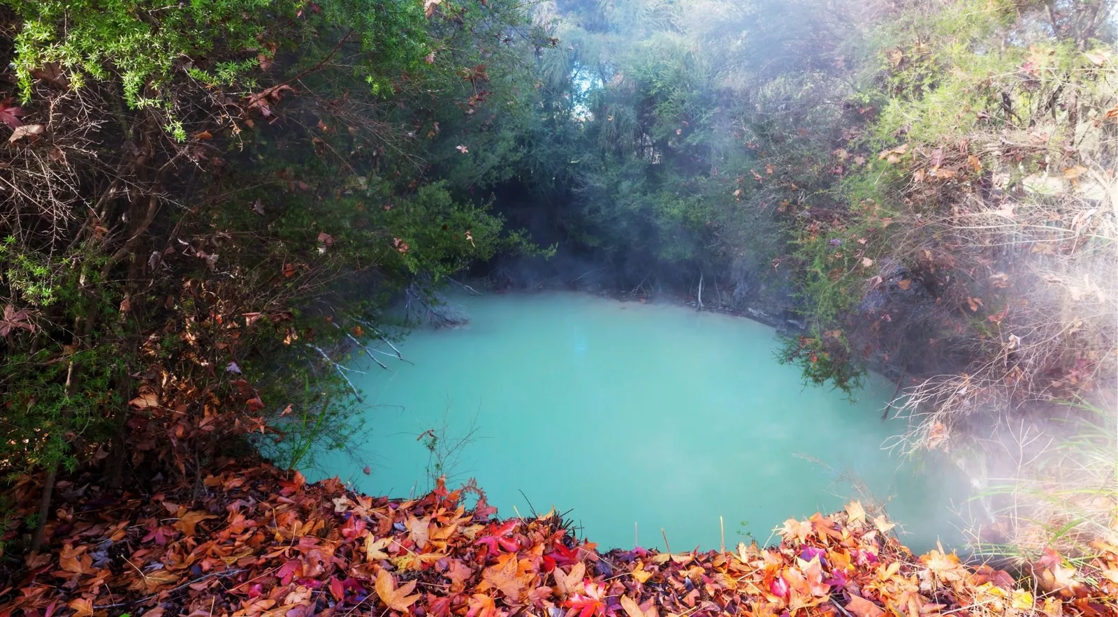 A turquoise thermal pool framed by red-leaved shrubs