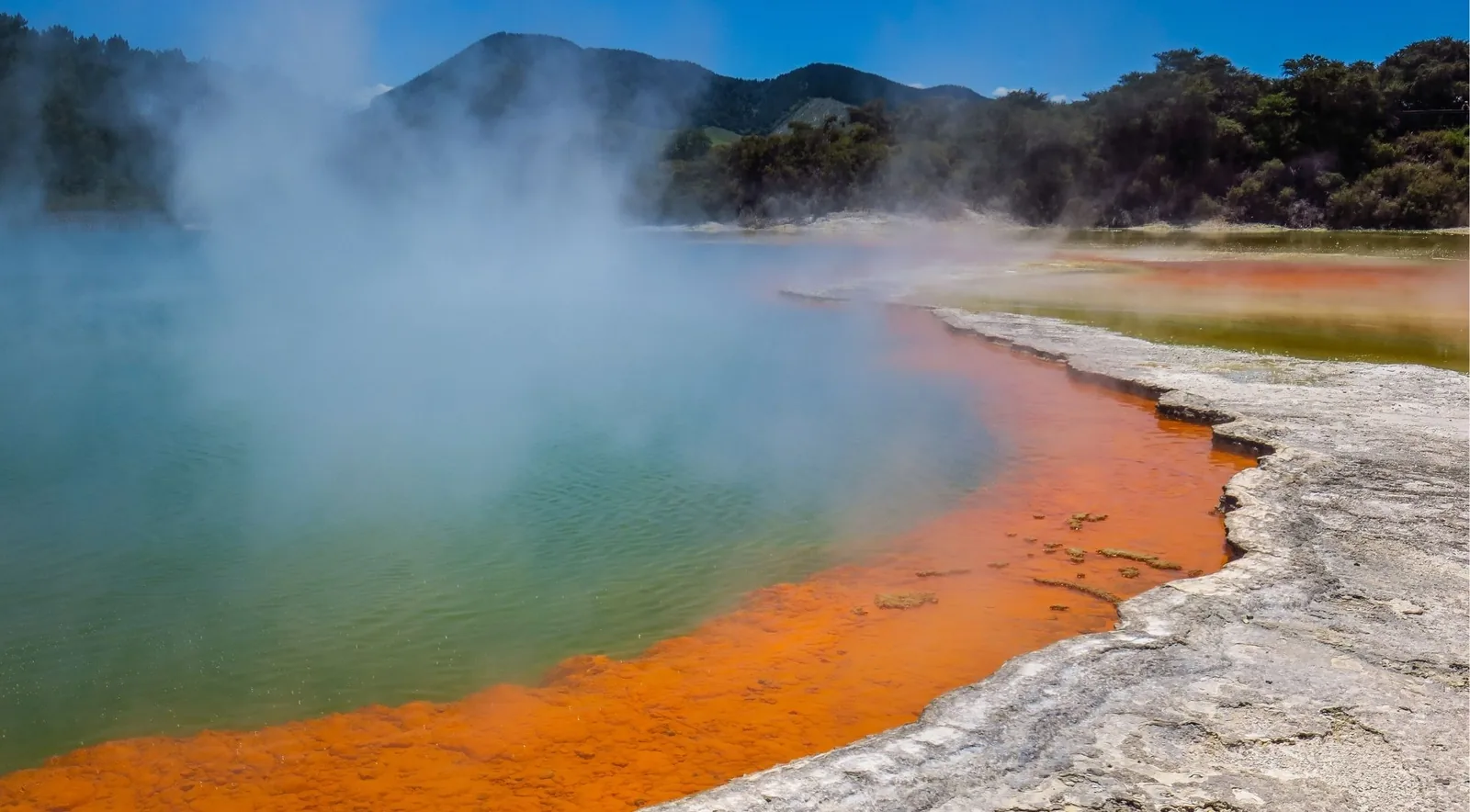 The Champagne Pool with steam blowing across it and forested hills behind